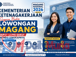 Kementerian Ketenagakerjaan Segera Buka Lowongan Magang, Dapat Uang Saku, Ini Info Lengkapnya